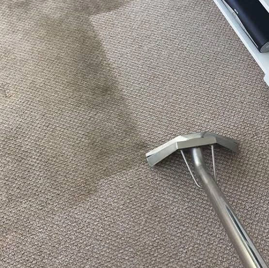Professional carpet cleaning service